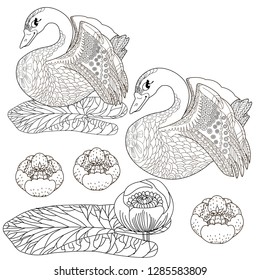 Coloring Pages. Coloring Book for adults. Colouring pictures with swan and lotus, lily flowers. Antistress freehand sketch drawing with doodle and zentangle elements.