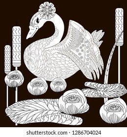 Coloring Pages. Coloring Book for adults. Colouring pictures with swan and lotus, lily flowers. Antistress freehand sketch drawing with doodle and zentangle elements.