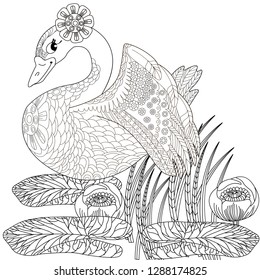 Coloring Pages. Coloring Book for adults. Colouring pictures with swan and lotus, lily flowers. Antistress freehand sketch drawing with doodle and zentangle elements.