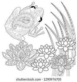 Coloring Pages. Coloring Book for adults. Colouring pictures with frog and lotus, lily flowers. Antistress freehand sketch drawing with doodle and zentangle element