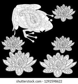 Coloring Pages. Coloring Book for adults. Colouring pictures with frog and lotus, lily flowers. Antistress freehand sketch drawing with doodle and zentangle element