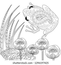 Coloring Pages. Coloring Book for adults. Colouring pictures with frog and lotus, lily flowers. Antistress freehand sketch drawing with doodle and zentangle element