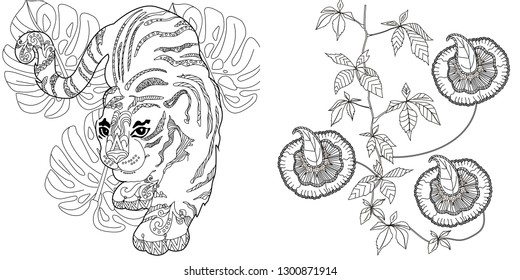 Coloring Pages. Coloring Book for adults. Colouring pictures with tiger and flower. Antistress freehand sketch drawing with doodle and zentangle elements.