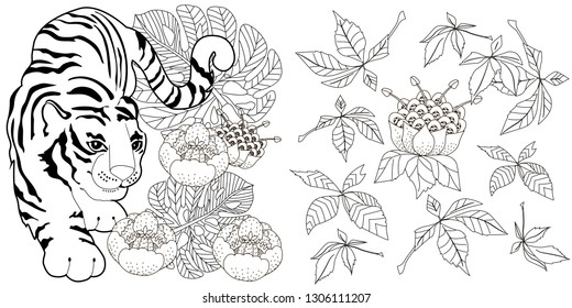Coloring Pages. Coloring Book for adults. Colouring pictures with tiger and flowers. Antistress freehand sketch drawing with doodle and zentangle elements.