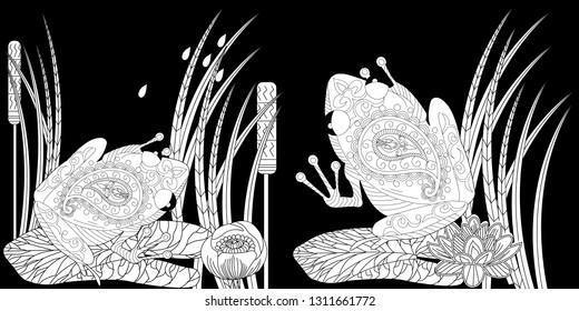 Coloring Pages. Coloring Book for adults. Colouring pictures with frog and lotus, lily flowers. Antistress freehand sketch drawing with doodle and zentangle element