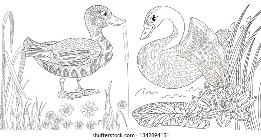 Coloring Pages. Coloring Book for adults. Colouring pictures with swan and duck, lily flowers. Antistress freehand sketch drawing with doodle and zentangle elements.