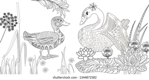 Coloring Pages. Coloring Book for adults. Colouring pictures with swan and duck, lily flowers. Antistress freehand sketch drawing with doodle and zentangle elements.