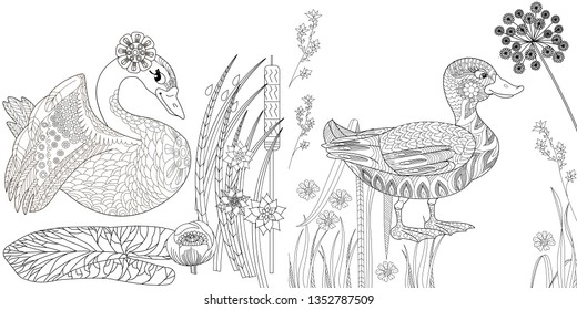 Coloring Pages. Coloring Book for adults. Colouring pictures with swan and duck, lily flowers. Antistress freehand sketch drawing with doodle and zentangle elements.