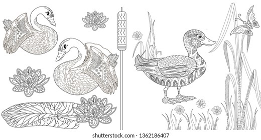Coloring Pages. Coloring Book for adults. Colouring pictures with swan and duck, lily flowers. Antistress freehand sketch drawing with doodle and zentangle elements.