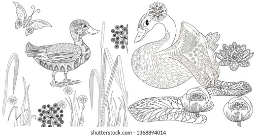 Coloring Pages. Coloring Book for adults. Colouring pictures with swan and duck, lily flowers. Antistress freehand sketch drawing with doodle and zentangle elements.