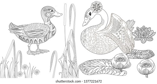 Coloring Pages. Coloring Book for adults. Colouring pictures with swan and duck, lily flowers. Antistress freehand sketch drawing with doodle and zentangle elements.