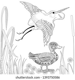 Coloring Pages. Coloring Book for adults. Colouring pictures with stork and duck. Antistress freehand sketch drawing with doodle and zentangle elements.