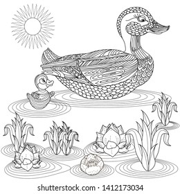 Coloring Pages. Coloring Book for adults. Colouring pictures with duck and lily flowers. Antistress freehand sketch drawing with doodle and zentangle elements.