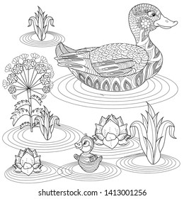 Coloring Pages. Coloring Book for adults. Colouring pictures with duck and lily flowers. Antistress freehand sketch drawing with doodle and zentangle elements.