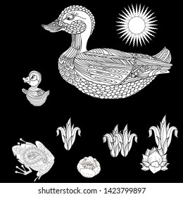 Coloring Pages. Coloring Book for adults. Colouring pictures with duck and lily flowers. Antistress freehand sketch drawing with doodle and zentangle elements.