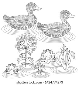 Coloring Pages. Coloring Book for adults. Colouring pictures with duck and lily flowers. Antistress freehand sketch drawing with doodle and zentangle elements.