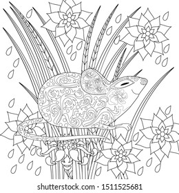 Coloring Pages. Coloring Book for adults. Colouring pictures with rat and flowers. Antistress freehand sketch drawing with doodle and zentangle elements.