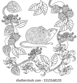 Coloring Pages. Coloring Book for adults. Colouring pictures with rat and flowers. Antistress freehand sketch drawing with doodle and zentangle elements.