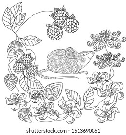 Coloring Pages. Coloring Book for adults. Colouring pictures with rat and flowers. Antistress freehand sketch drawing with doodle and zentangle elements.