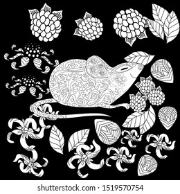 Coloring Pages. Coloring Book for adults. Colouring pictures with rat and flowers. Antistress freehand sketch drawing with doodle and zentangle elements.