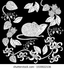 Coloring Pages. Coloring Book for adults. Colouring pictures with rat. Antistress freehand sketch drawing with doodle and zentangle elements.
