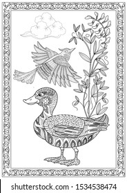 Coloring Pages. Coloring Book for adults. Colouring pictures with birds and flowers. Antistress freehand sketch drawing with doodle and zentangle elements.