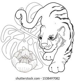 Coloring Pages. Coloring Book for adults. Colouring pictures with tiger. Antistress freehand sketch drawing with doodle and zentangle elements.