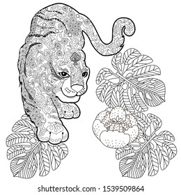 Coloring Pages. Coloring Book for adults. Colouring pictures with tiger. Antistress freehand sketch drawing with doodle and zentangle elements.