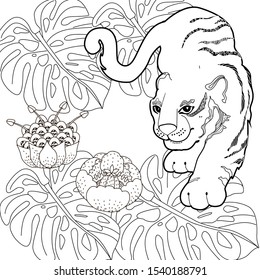 Coloring Pages. Coloring Book for adults. Colouring pictures with tiger. Antistress freehand sketch drawing with doodle and zentangle elements.