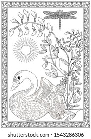 Coloring Pages. Coloring Book for adults. Colouring pictures with birds and flowers. Antistress freehand sketch drawing with doodle and zentangle elements.