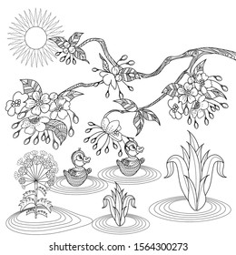 Coloring Pages. Coloring Book for adults. Colouring pictures with birds and flowers. Antistress freehand sketch drawing with doodle and zentangle elements.