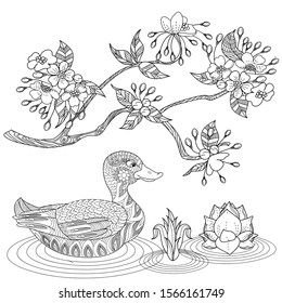 Coloring Pages. Coloring Book for adults. Colouring pictures with duck and flowers. Antistress freehand sketch drawing with doodle and zentangle elements.