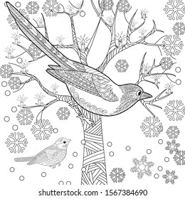 Coloring Pages. Coloring Book for adults. Colouring pictures with birds. Antistress freehand sketch drawing with doodle and zentangle elements.