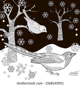 Coloring Pages. Coloring Book for adults. Colouring pictures with birds. Antistress freehand sketch drawing with doodle and zentangle elements.