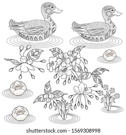Coloring Pages. Coloring Book for adults. Colouring pictures with duck and flowers. Antistress freehand sketch drawing with doodle and zentangle elements.