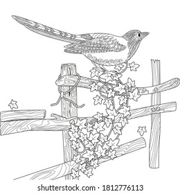 Coloring Pages. Coloring Book for adults. Colouring pictures with magpie. Antistress freehand sketch drawing with doodle and zentangle elements.