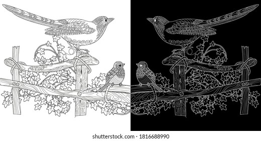 Coloring Pages. Coloring Book for adults. Colouring pictures with magpie. Antistress freehand sketch drawing with doodle and zentangle elements.
