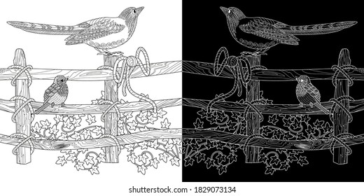 Coloring Pages. Coloring Book for adults. Colouring pictures with magpie. Antistress freehand sketch drawing with doodle and zentangle elements.
