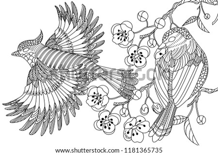 9900 Coloring Pages Adults Birds Images 9900 Coloring Pages Adults Birds Images