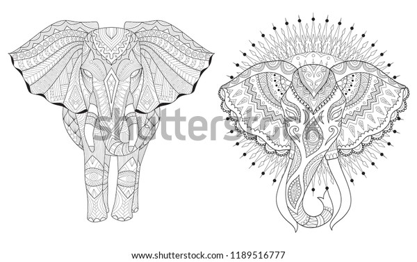 coloring pages coloring book adults colouring stock vector