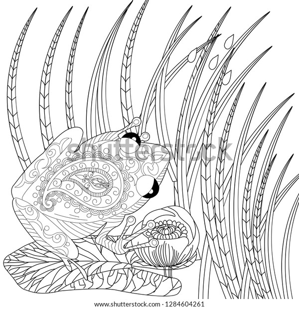 coloring pages coloring book adults colouring stock vector