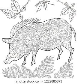 Coloring Pages. Coloring Book for adults. Cute Pig - 2019 Chinese New Year symbol. Antistress freehand sketch drawing with doodle and zentangle elements.