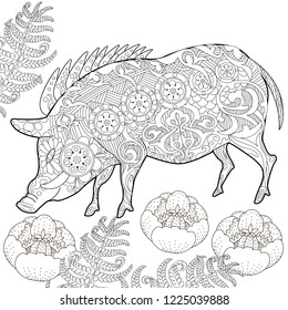 Coloring Pages. Coloring Book for adults. Cute Pig - 2019 Chinese New Year symbol. Antistress freehand sketch drawing with doodle and zentangle elements.