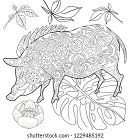 Coloring Pages. Coloring Book for adults. Cute Pig - 2019 Chinese New Year symbol. Antistress freehand sketch drawing with doodle and zentangle elements.