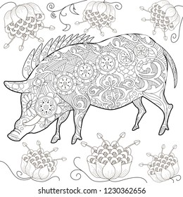 Coloring Pages. Coloring Book for adults. Cute Pig - 2019 Chinese New Year symbol. Antistress freehand sketch drawing with doodle and zentangle elements.