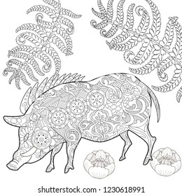 Coloring Pages. Coloring Book for adults. Cute Pig - 2019 Chinese New Year symbol. Antistress freehand sketch drawing with doodle and zentangle elements.