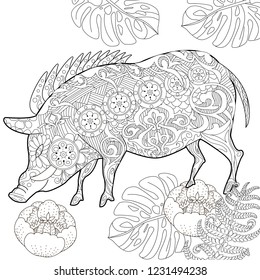 Coloring Pages. Coloring Book for adults. Cute Pig - 2019 Chinese New Year symbol. Antistress freehand sketch drawing with doodle and zentangle elements.