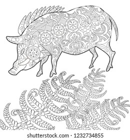 Coloring Pages. Coloring Book for adults. Cute Pig - 2019 Chinese New Year symbol. Antistress freehand sketch drawing with doodle and zentangle elements.