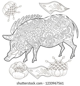 Coloring Pages. Coloring Book for adults. Cute Pig - 2019 Chinese New Year symbol. Antistress freehand sketch drawing with doodle and zentangle elements.