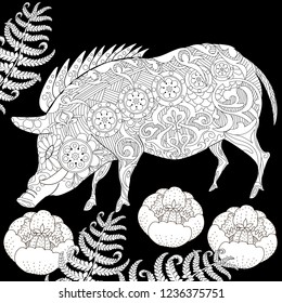 Coloring Pages. Coloring Book for adults. Cute Pig - 2019 Chinese New Year symbol. Antistress freehand sketch drawing with doodle and zentangle elements.